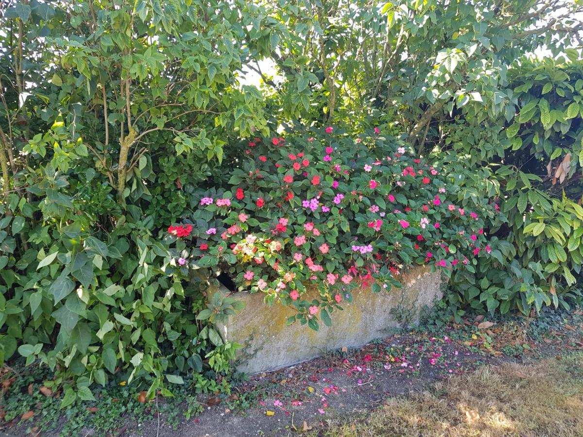 A la Campagne ,Halte ,Séjour et Détente Moncontour  Extérieur photo